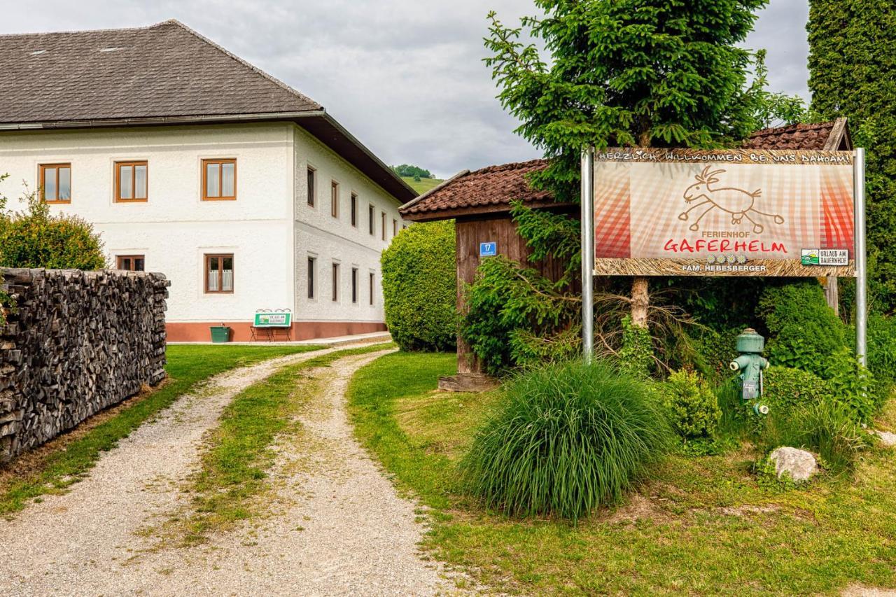 Apartamento Auszeit Am Ziegenhof Nur Fuer Erwachsene Schlierbach Exterior foto